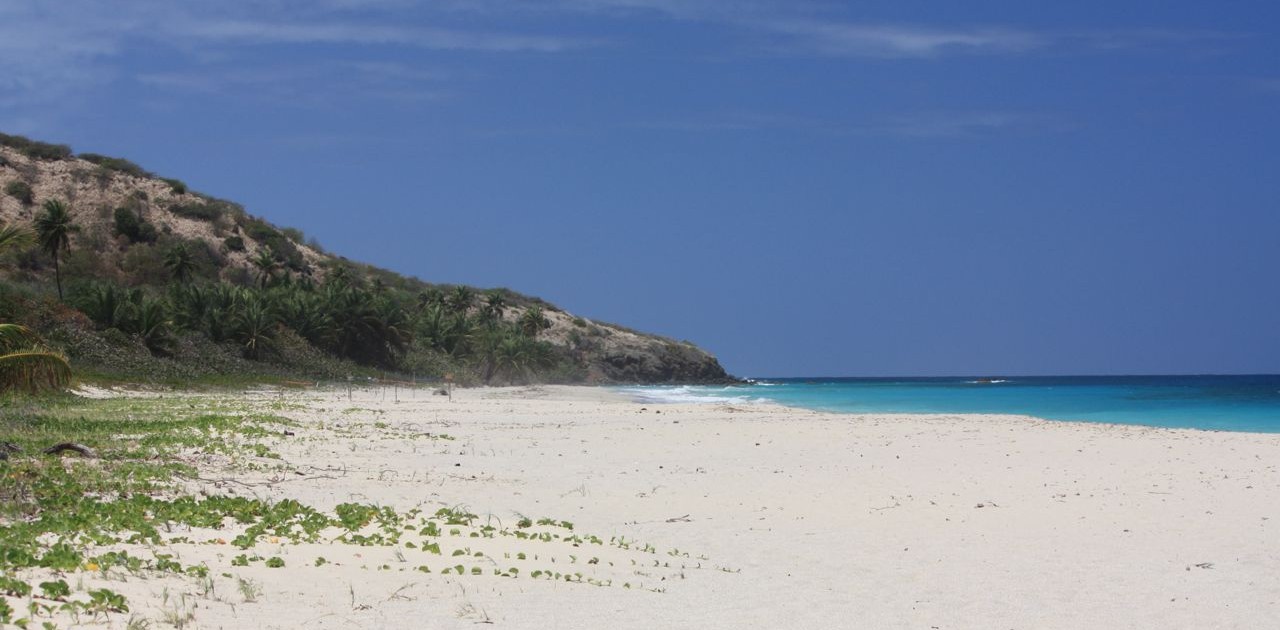 Todas las Tortugas Culebra Spanish Virgin Islands