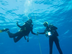 Diving sports yacht charter